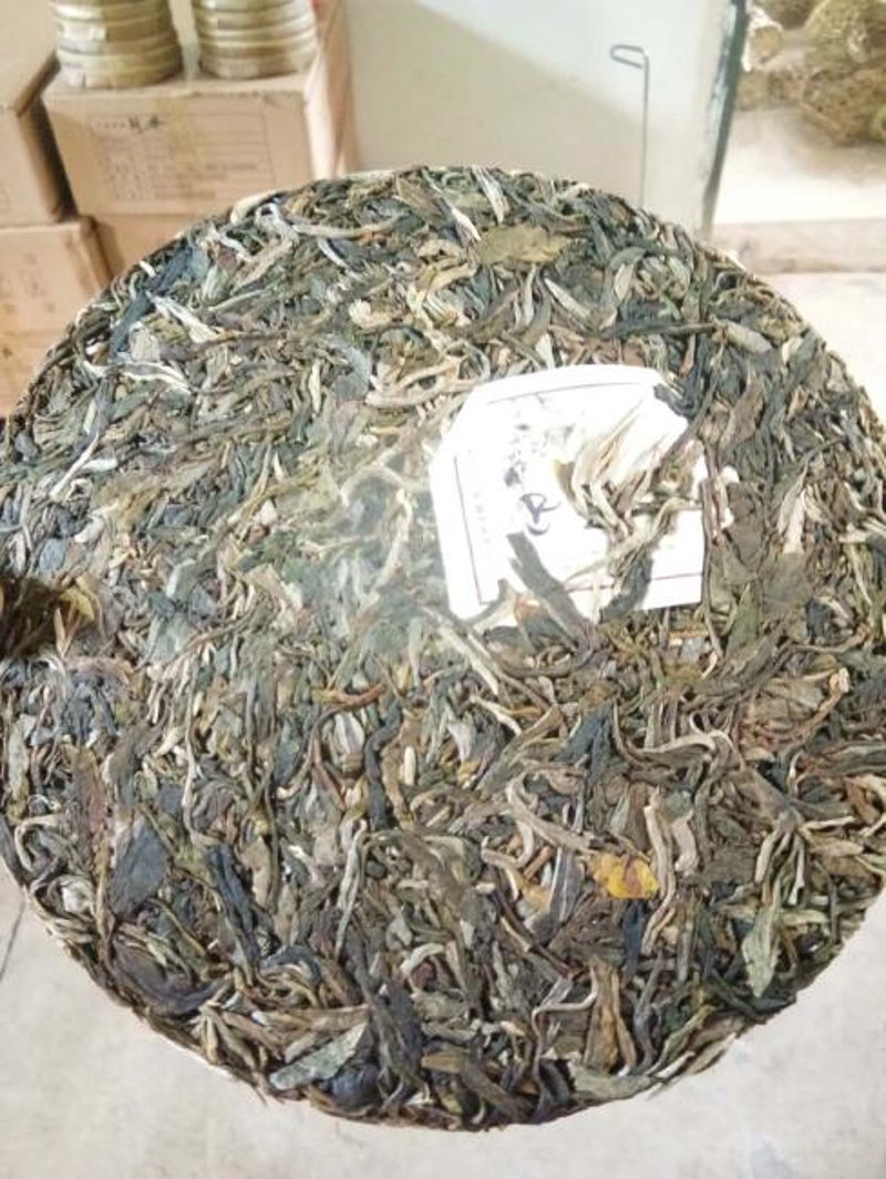 古树茶正宗的多少钱一斤？新手选购避坑清单