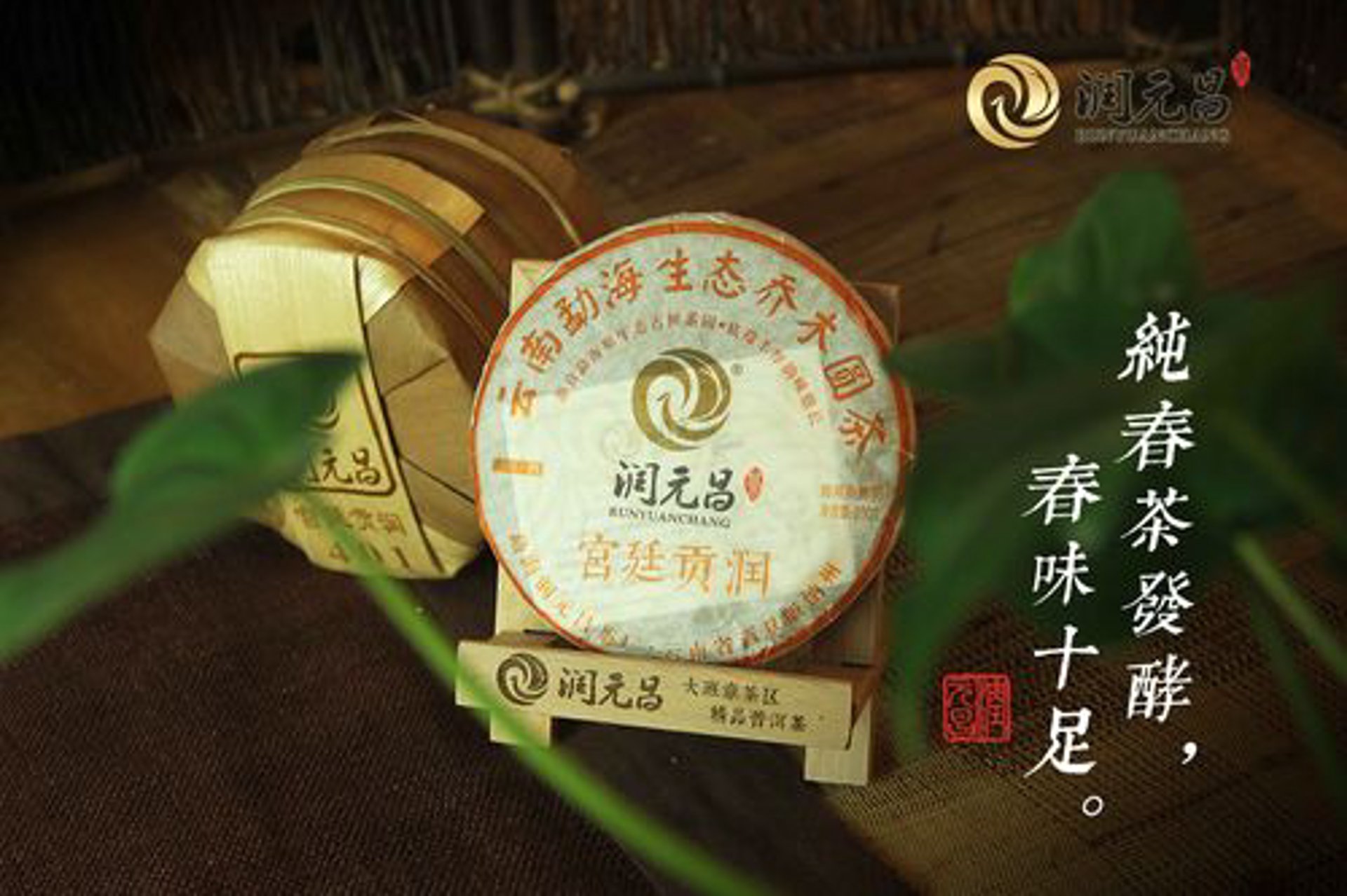 普洱优选茶业